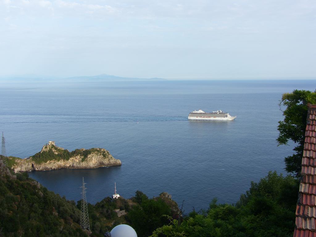 Degli Agrumi