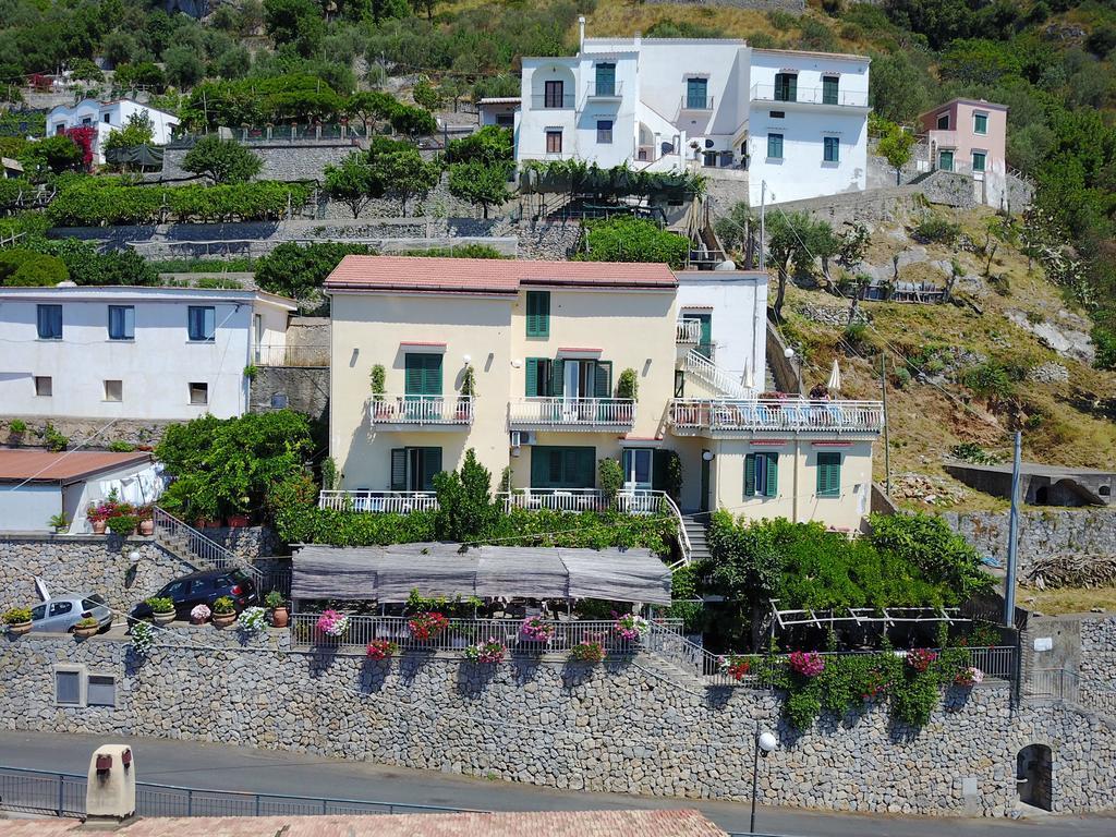 Degli Agrumi 3*
