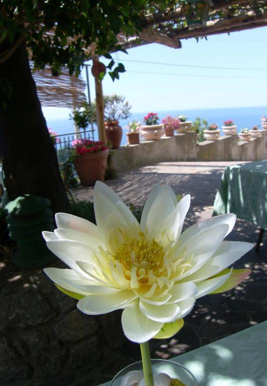 Locanda Degli Agrumi